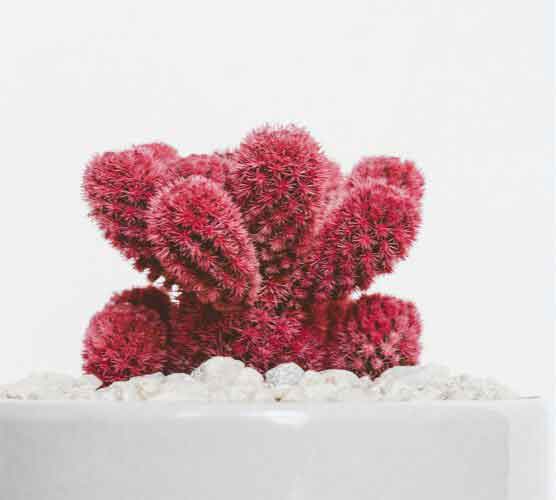 在线短信网页版免费版